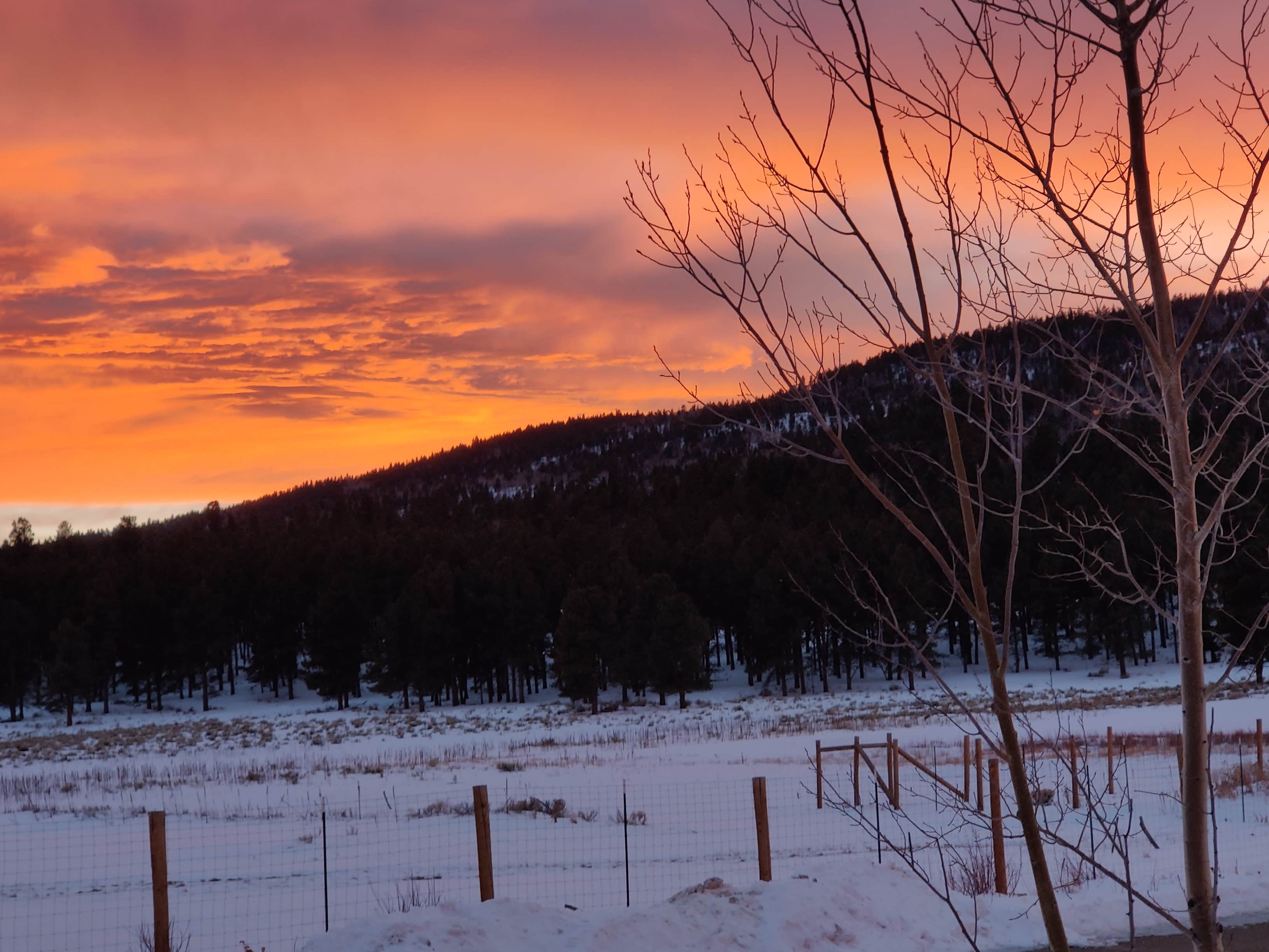 Camper-submitted photo at Angel Fire RV Resort near Taos, NM