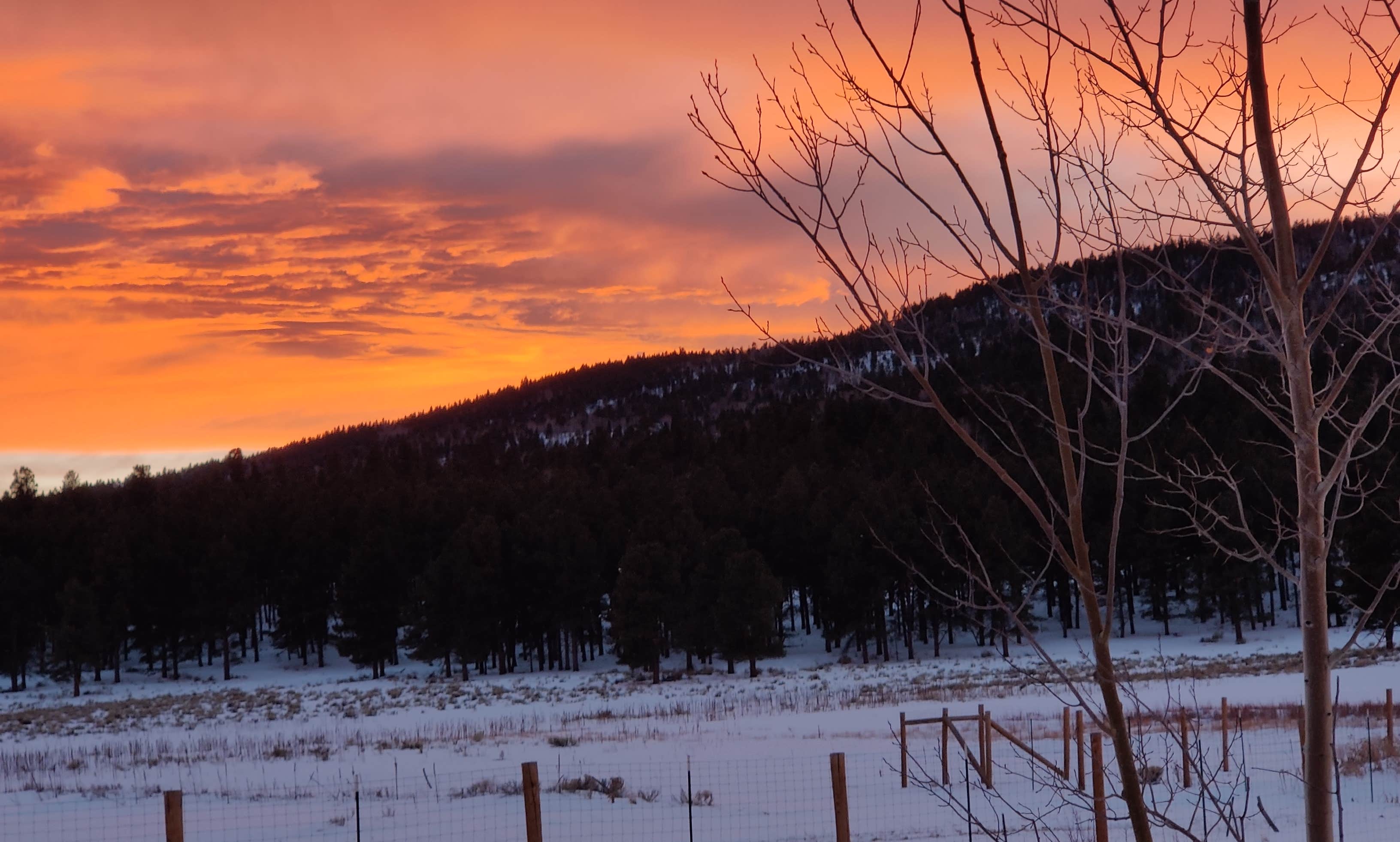 Angel Fire Camping near Angel Fire, NM: 50+ Best Places to Camp