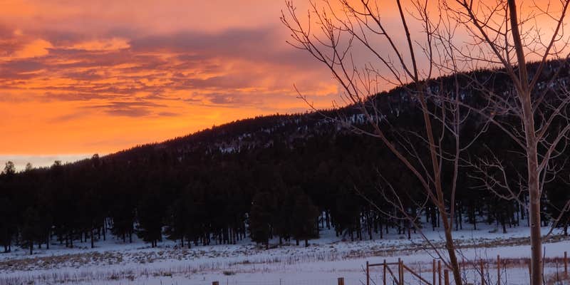 Camper submitted image from Angel Fire RV Resort