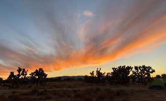Ciara C.'s photo of tent camping at Joshua Tree Ranch Los Angeles near Tehachapi, CA