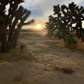 Review photo of Joshua Tree Ranch Los Angeles by Ciara C., January 9, 2021
