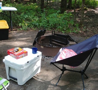 Camper-submitted photo from Lake Carmi State Park