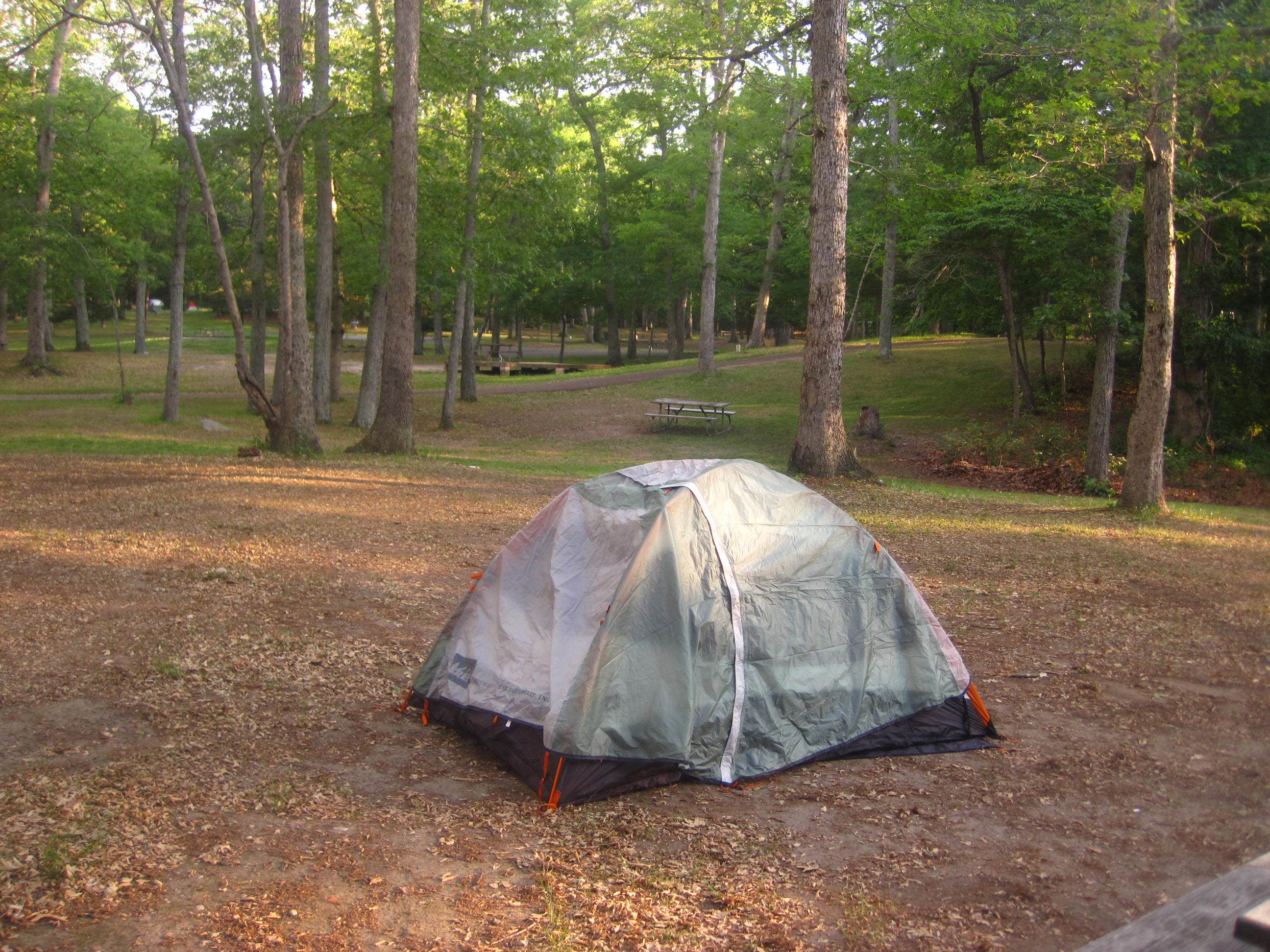 Megan B.'s photo at Wildwood State Park Campground near Westport, CT