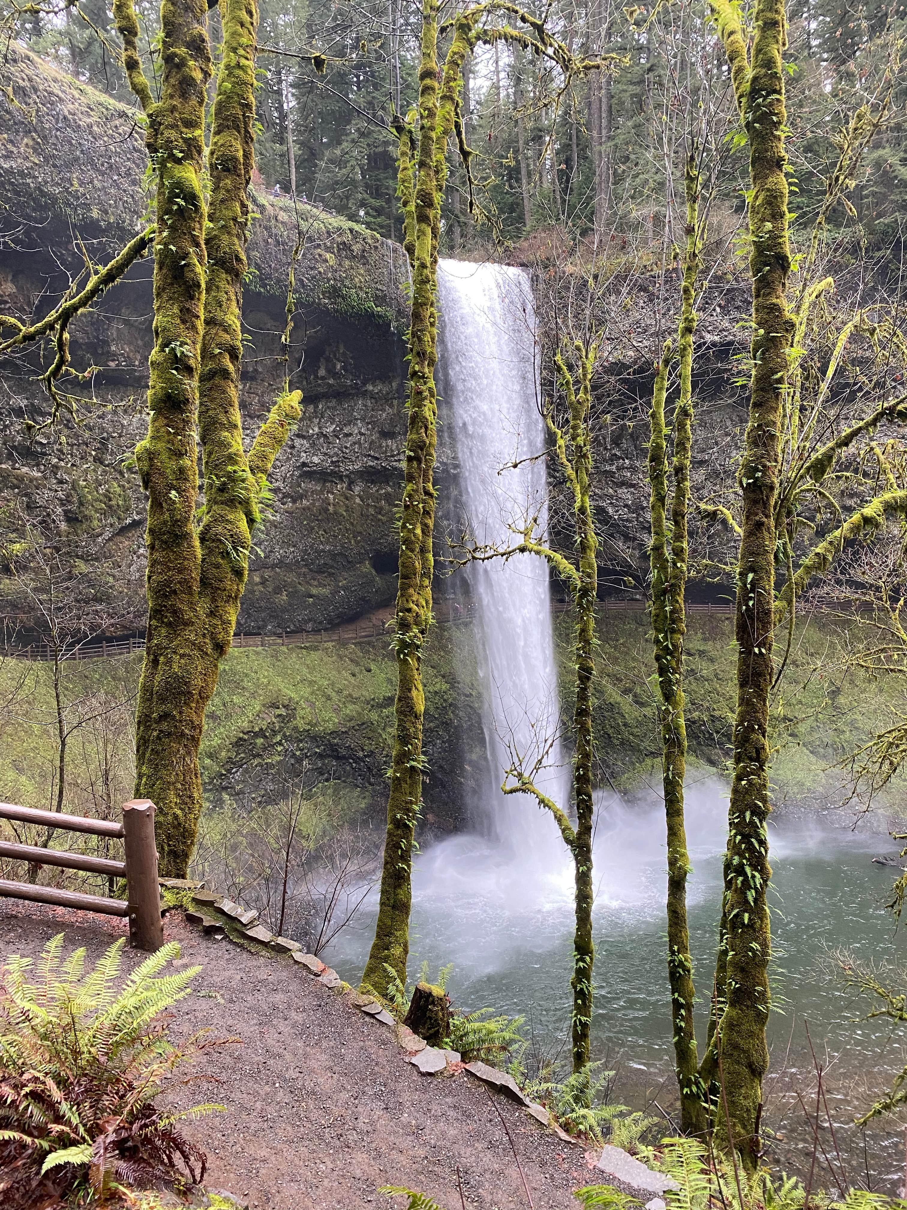 Cascadia photo 3