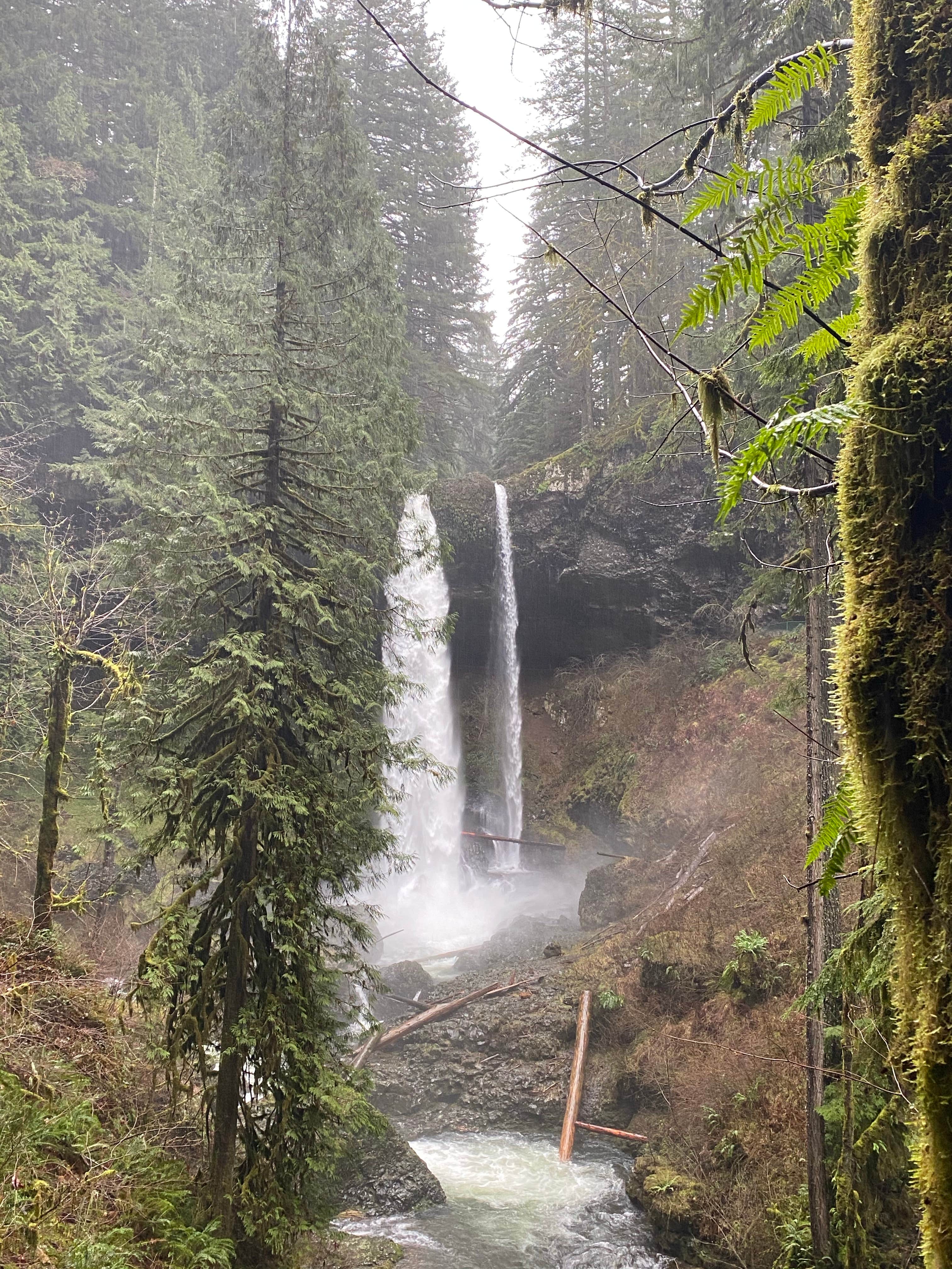 Camper-submitted photo at Silver Falls State Park Campground in Oregon