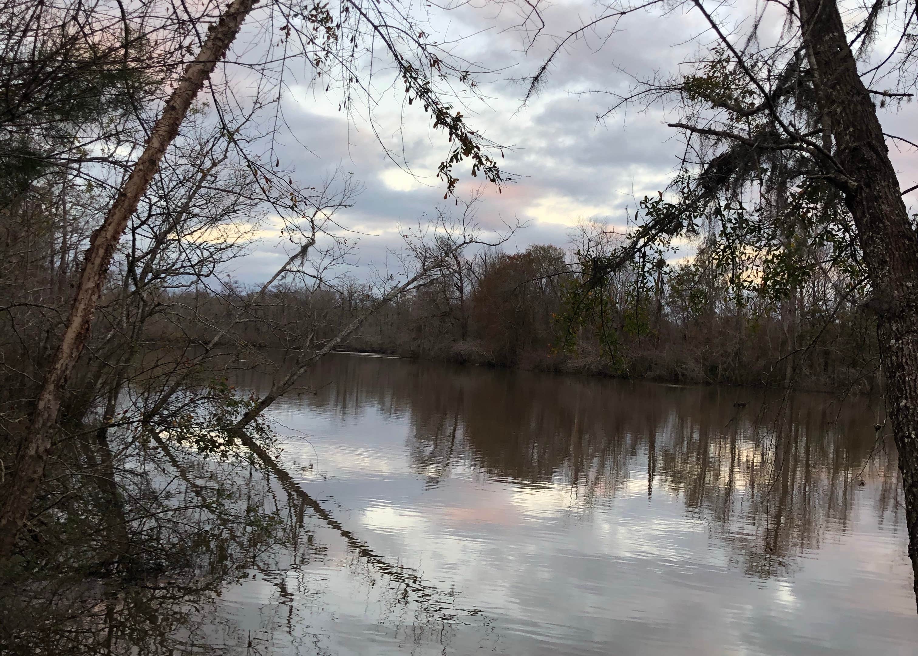 Cotton Lake Camping The Dyrt