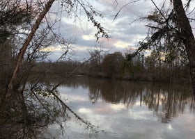 Cotton Lake 