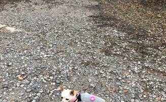 Roger B.'s photo of camping with pets at Cotton Lake near Bay Minette, AL