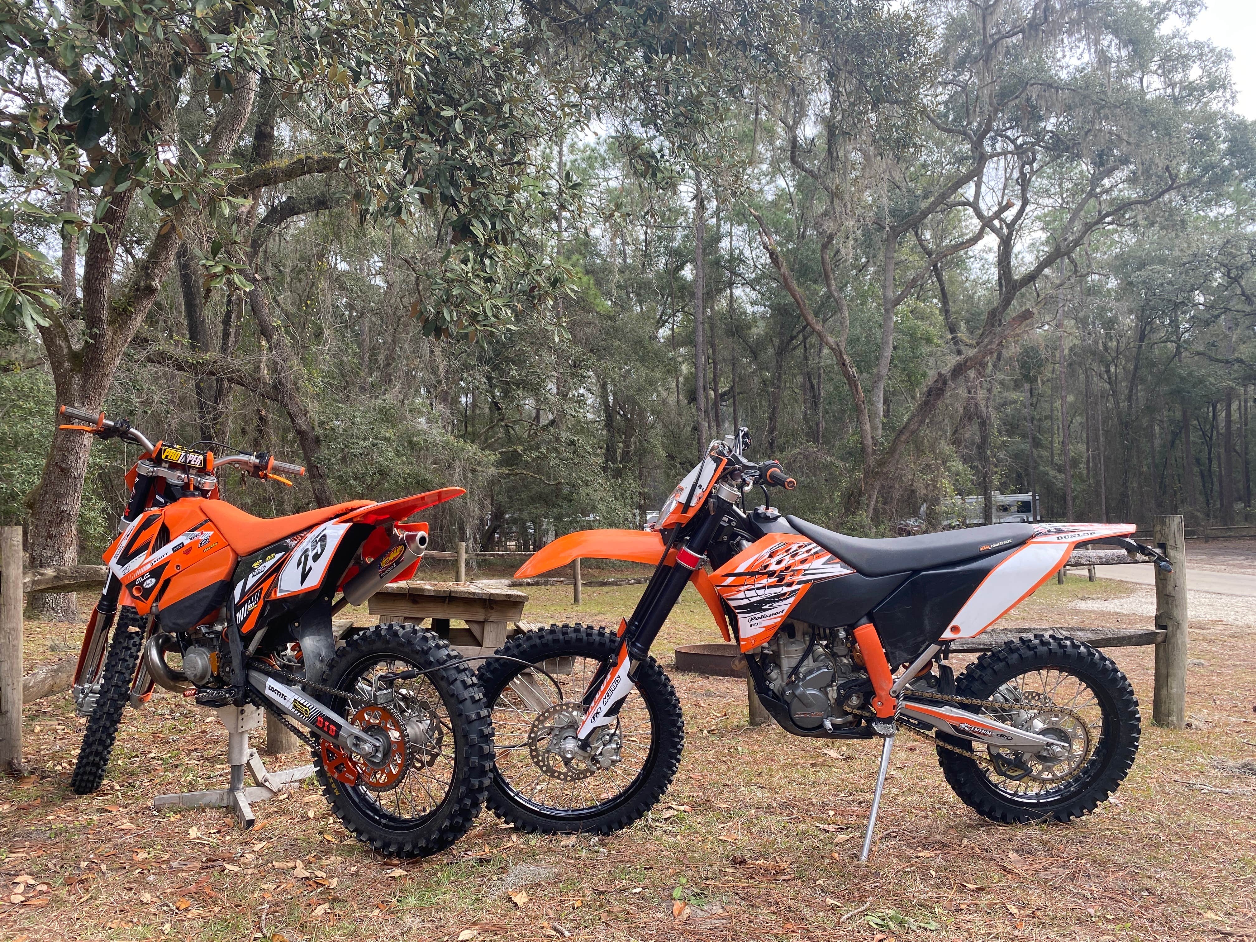 Camping near Silver Lake Campground — Withlacoochee State Forest: Buttgenbach Campground at CMA, Nobleton, Florida