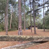 Review photo of Buttgenbach Campground at CMA by Alyssa D., January 9, 2021