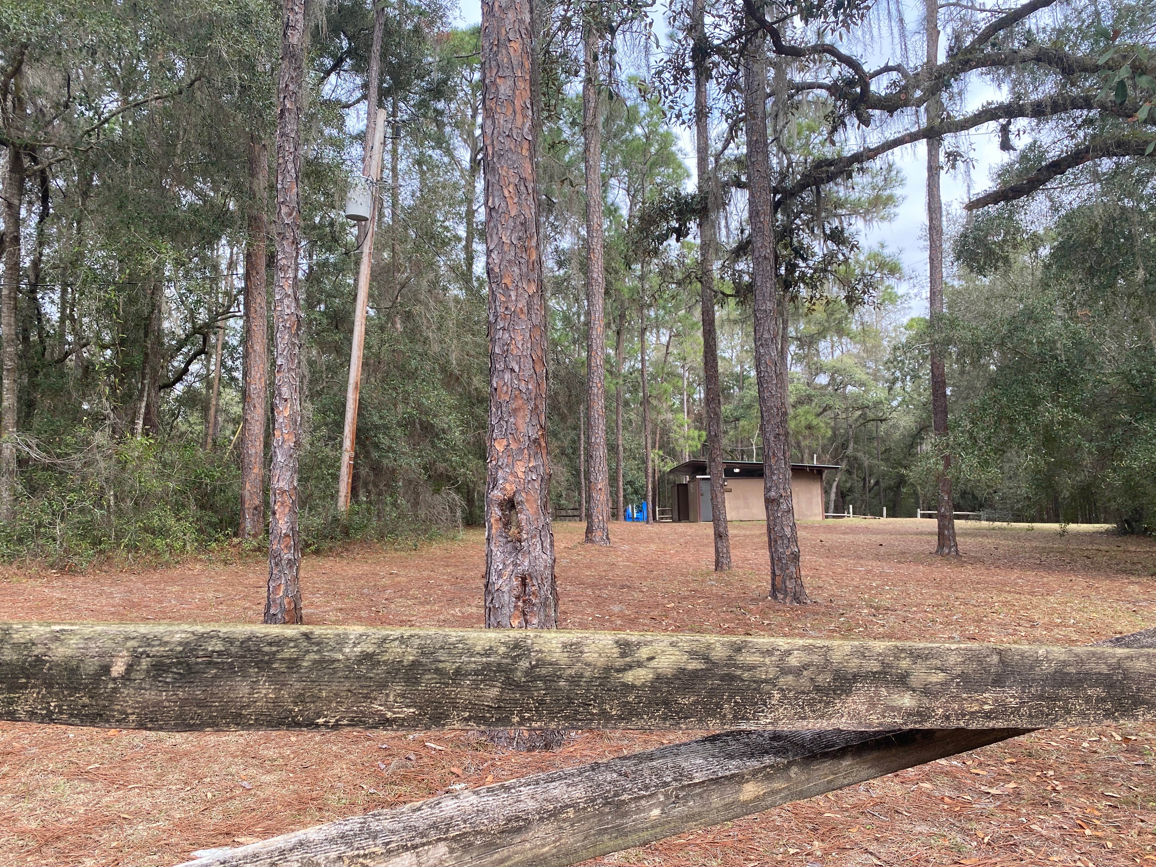 Camper submitted image from Buttgenbach Campground at CMA - 3