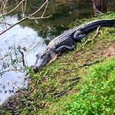 Review photo of Brazos Bend State Park Campground by Candy P., January 9, 2021