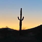 Review photo of Saddle Mountain BLM (Tonopah, AZ) by George K., January 9, 2021