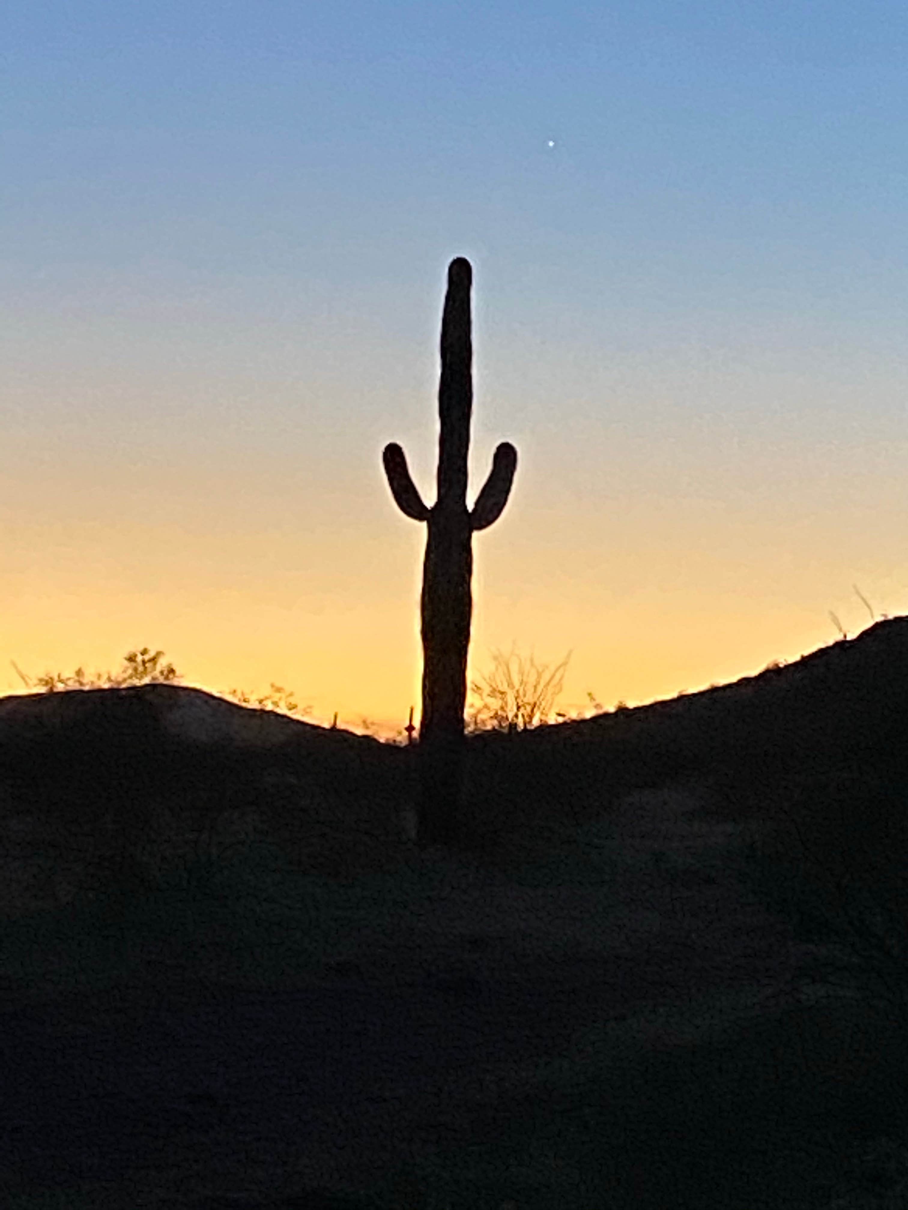 Camper submitted image from Saddle Mountain BLM (Tonopah, AZ) - 2