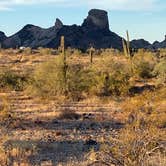 Review photo of Saddle Mountain BLM (Tonopah, AZ) by George K., January 9, 2021