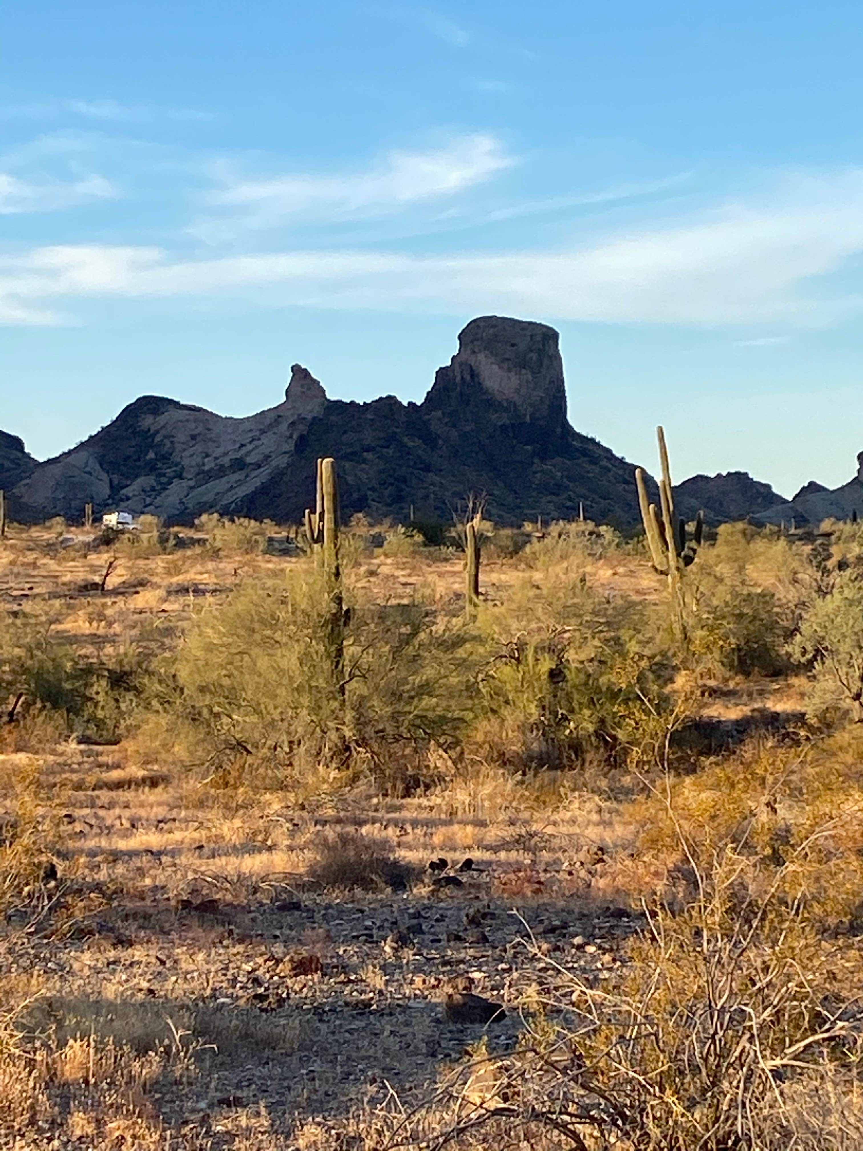 Camper submitted image from Saddle Mountain BLM (Tonopah, AZ) - 1