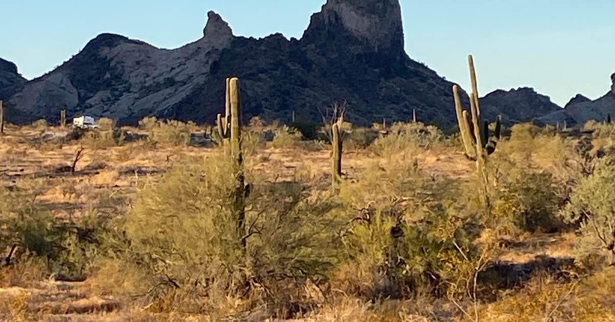 Saddle Mountain BLM (Tonopah, AZ)