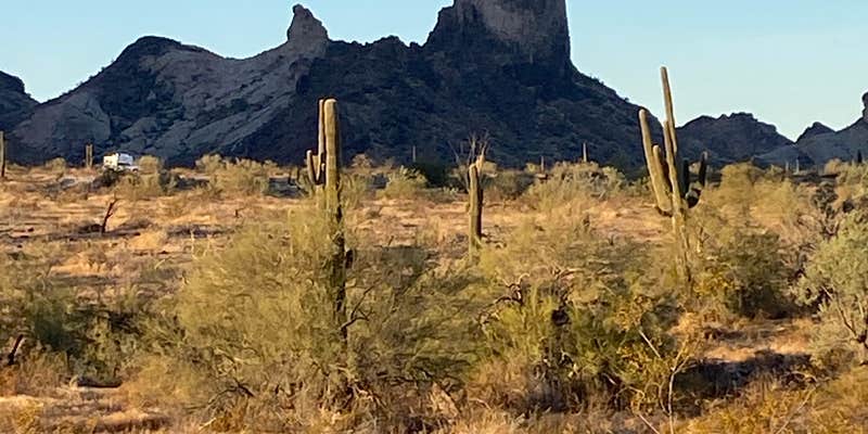 Camper submitted image from Saddle Mountain BLM (Tonopah, AZ)