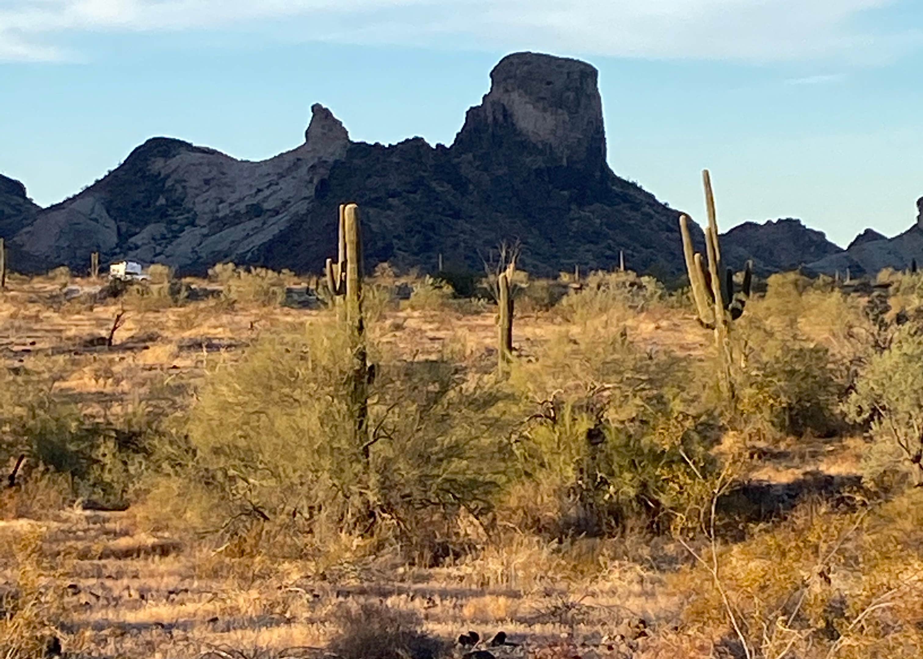 Saddle Mountain Blm Tonopah Az Camping The Dyrt