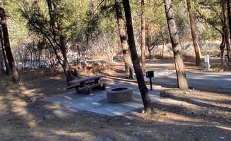 Brittney  C.'s photo at Fletcher View near Tecopa, CA