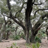 Review photo of Lake Kissimmee State Park Campground by Sam B., January 9, 2021