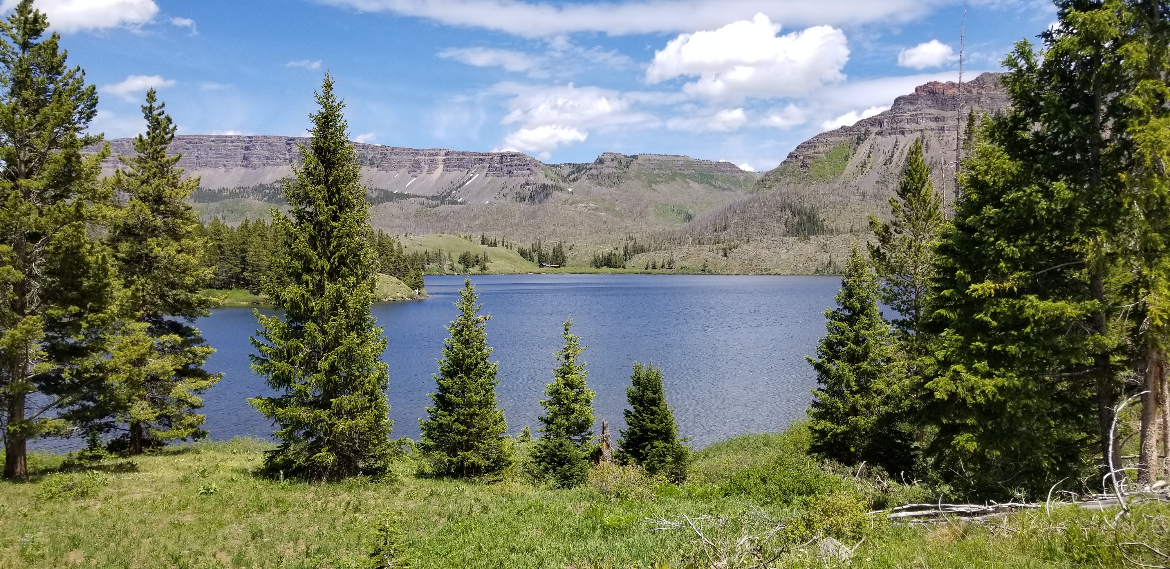 Camper submitted image from Trappers Lake Horse Thief Campground - 3