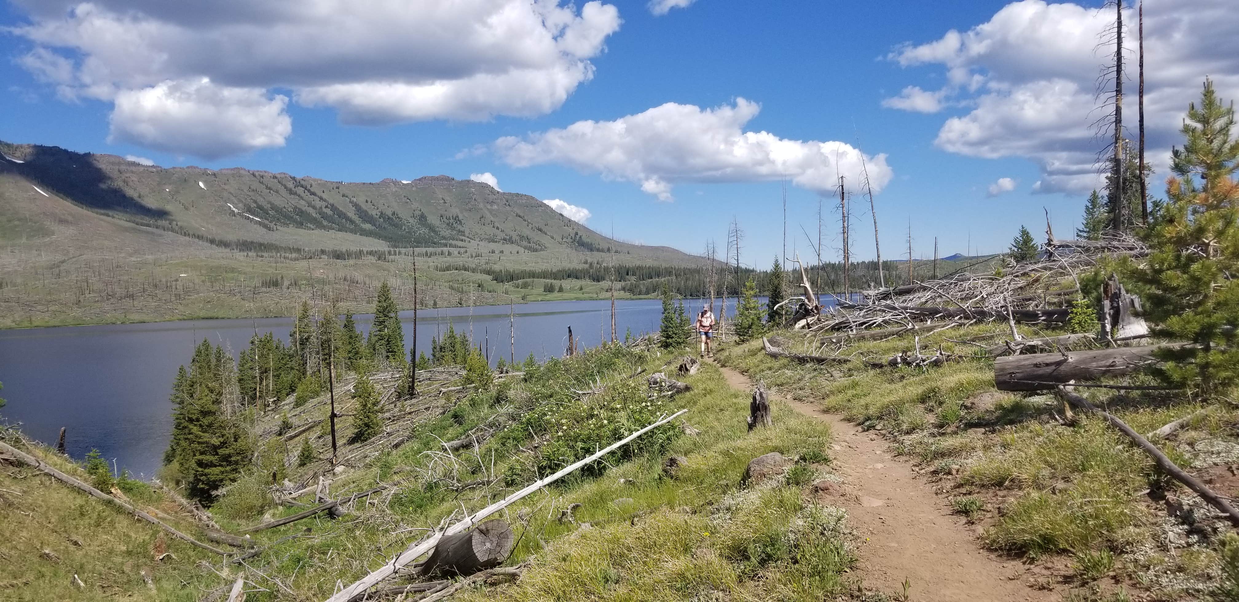 Camper submitted image from Trappers Lake Horse Thief Equestrian Campground - 1