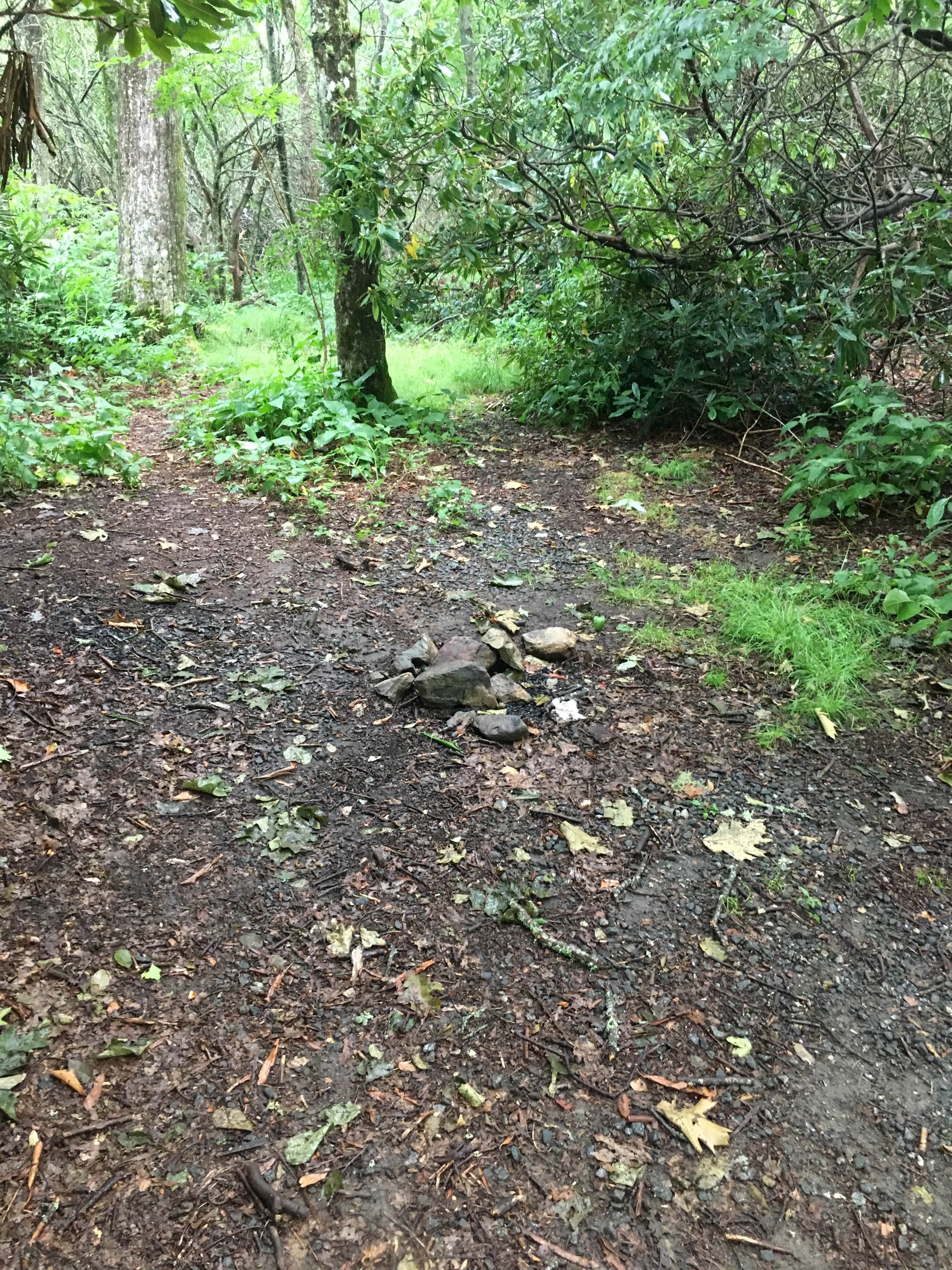 Camper submitted image from Pickens Nose Trailhead Campsite - 3