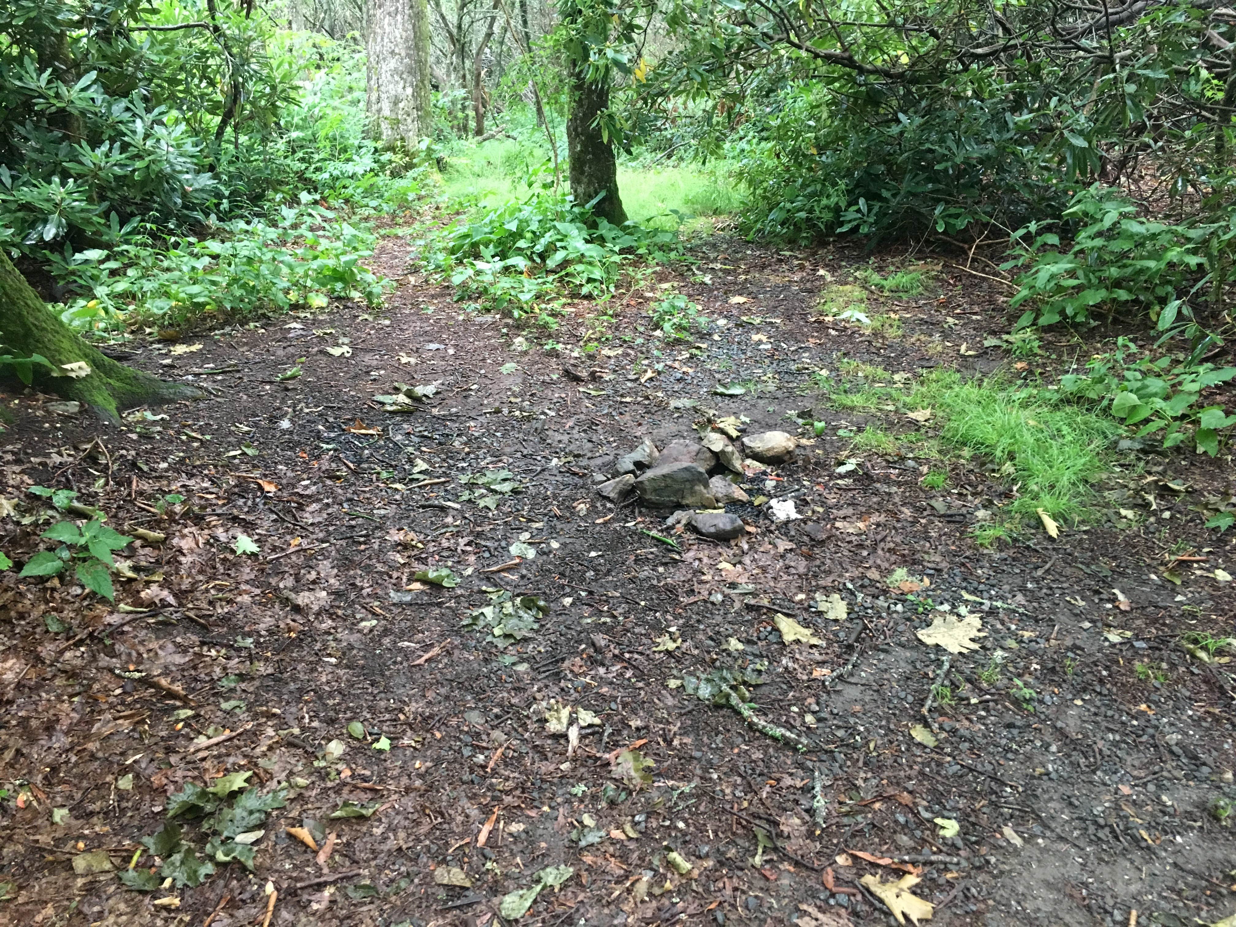 Camper submitted image from Pickens Nose Trailhead Campsite - 2