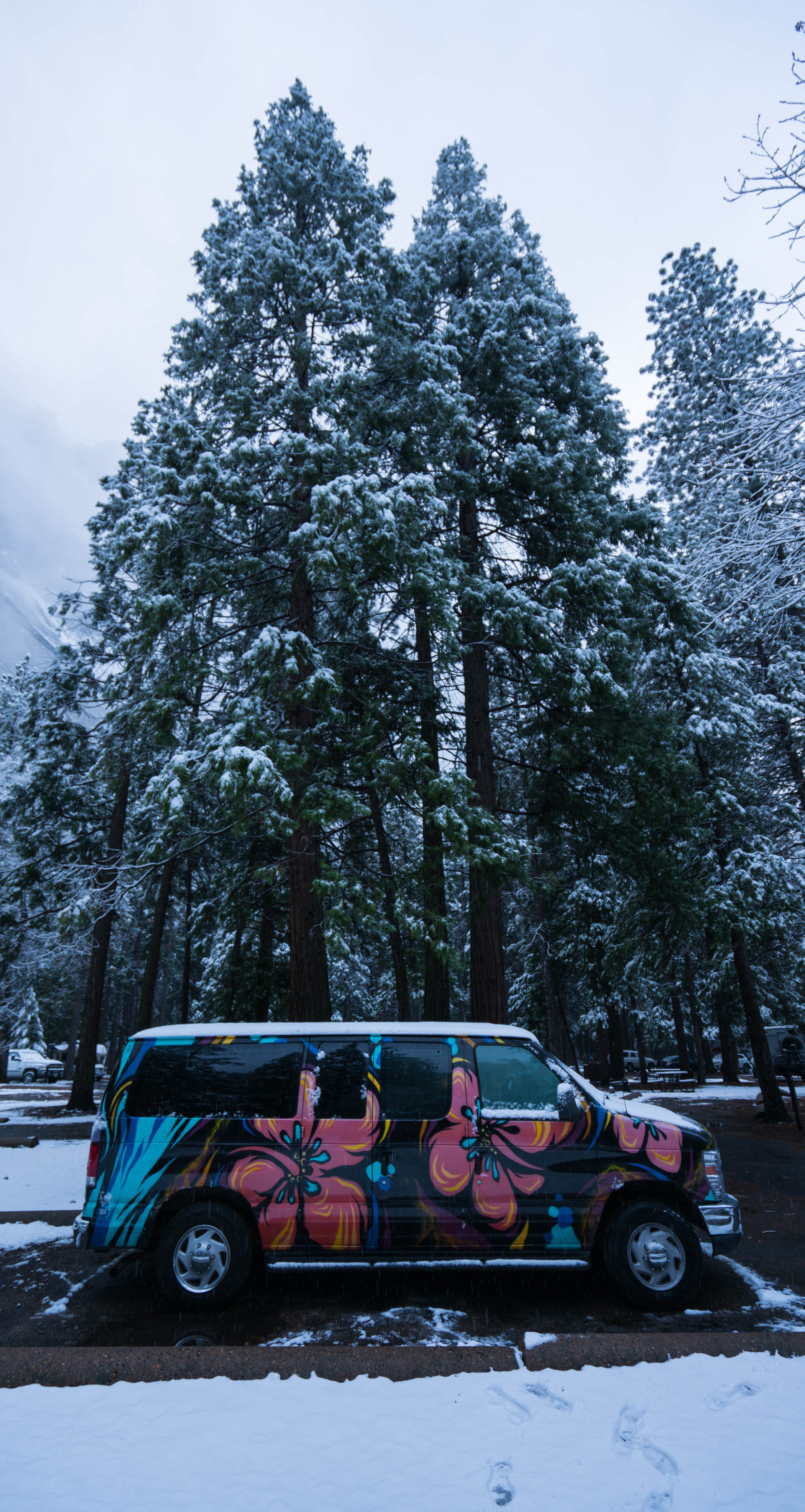 Michael D.'s photo of rv camping at Upper Pines Campground — Yosemite National Park near Mather, CA