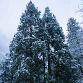 Review photo of Upper Pines Campground — Yosemite National Park by Michael D., May 27, 2018