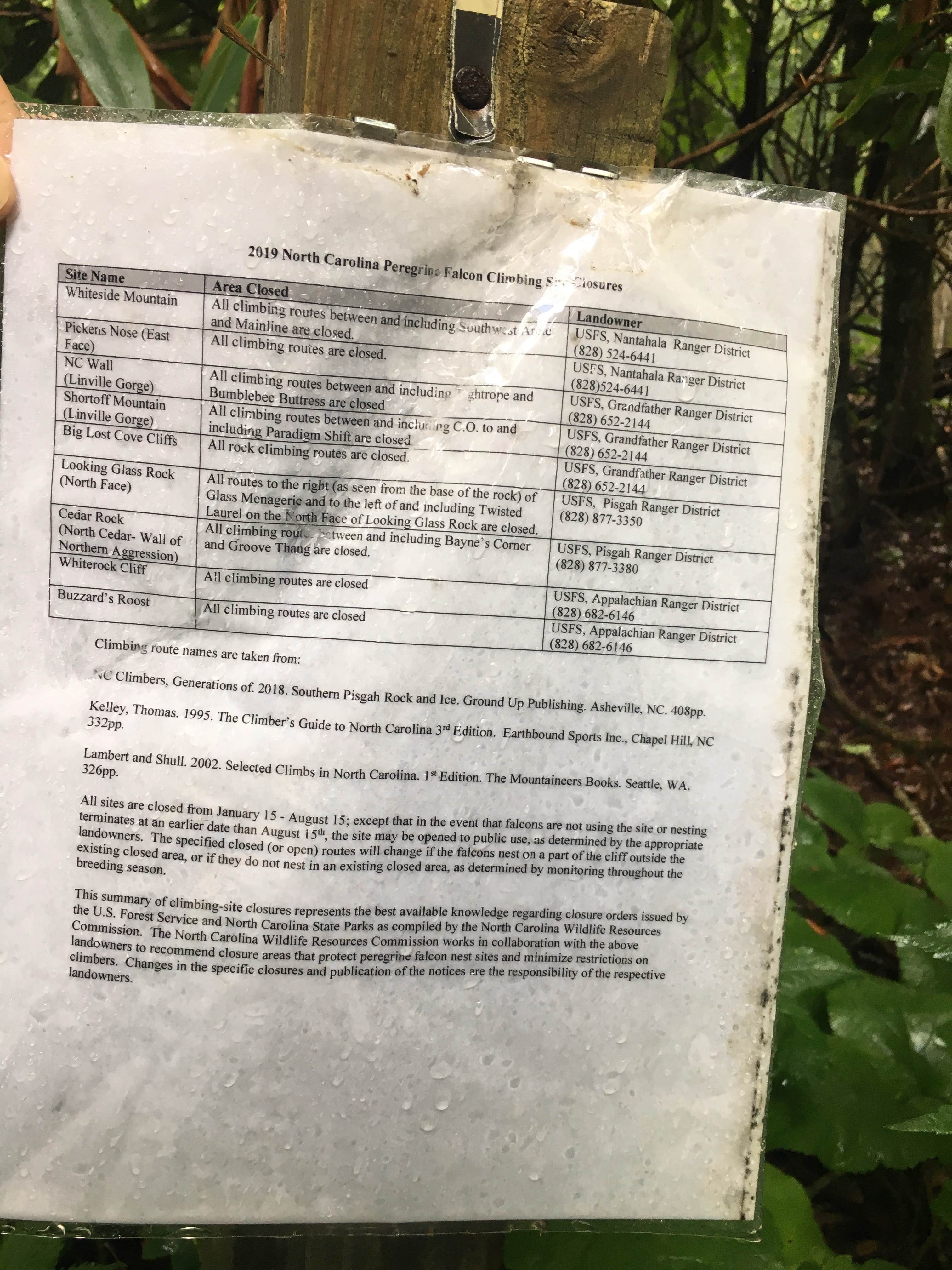 Camping near Siler Bald Trail Shelter TR 373: Pickens Nose Trailhead Campsite, Otto, North Carolina