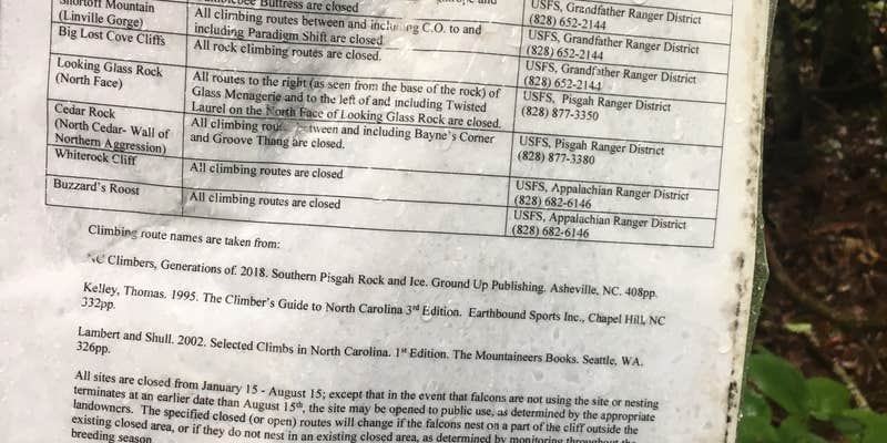 Camper submitted image from Pickens Nose Trailhead Campsite