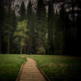 Review photo of Upper Pines Campground — Yosemite National Park by Michael D., May 27, 2018