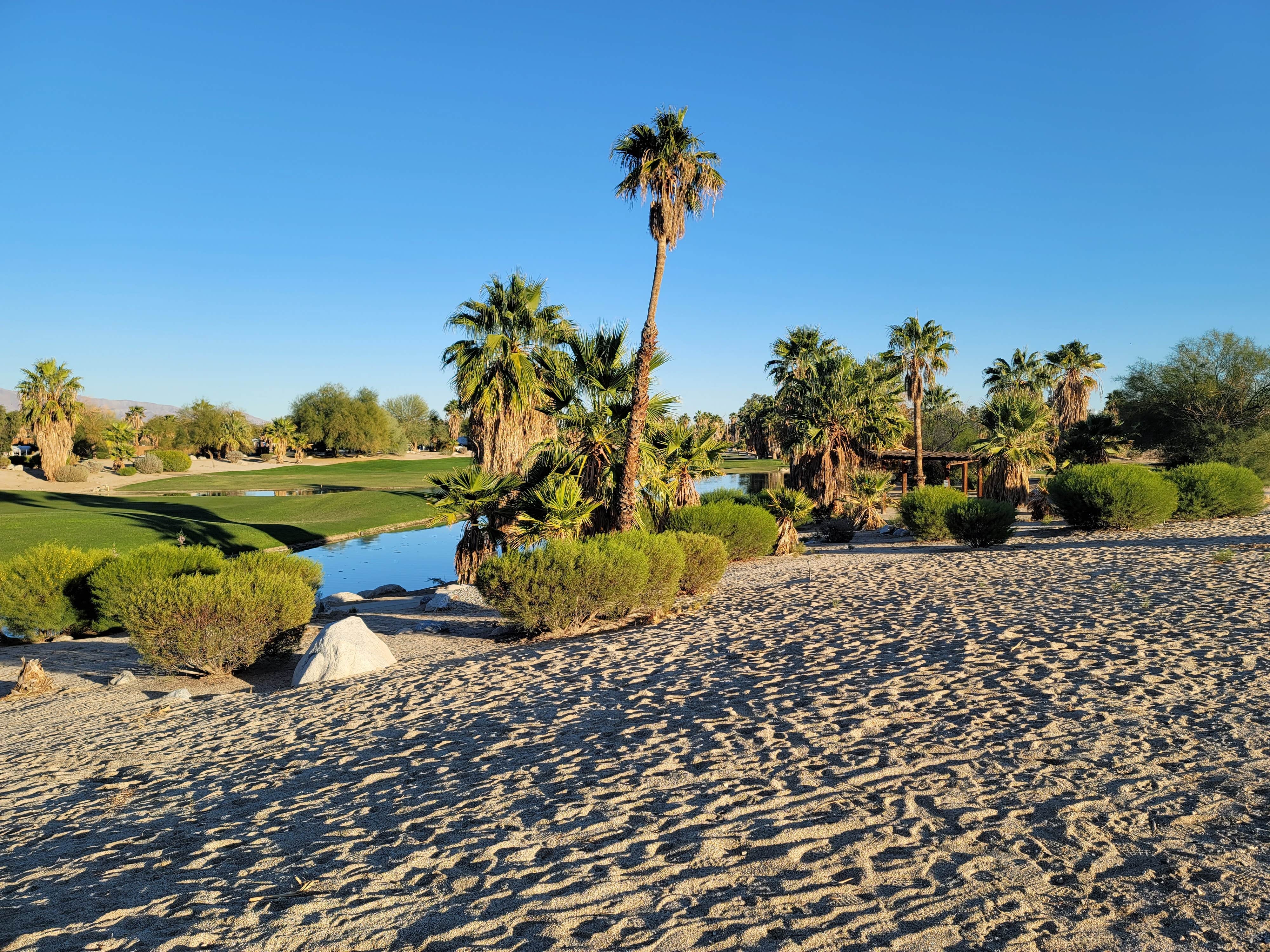 Camper-submitted photo at The Springs at Borrego RV Resort near Calipatria, CA