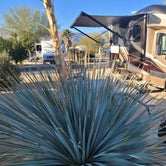 Review photo of The Springs at Borrego RV Resort by Sherrie R., January 10, 2021
