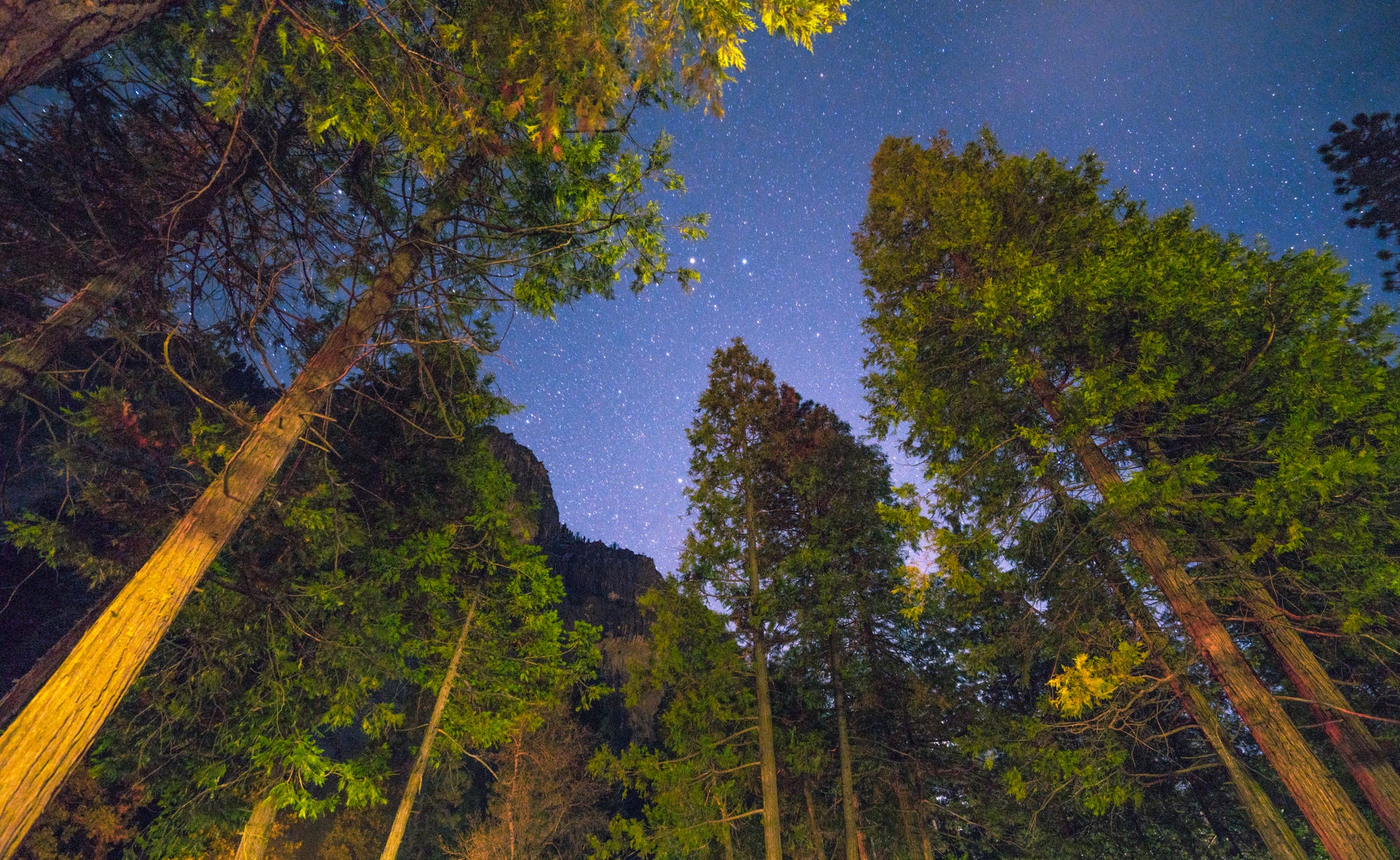 Upper Pines Campground in Yosemite National Park, California
