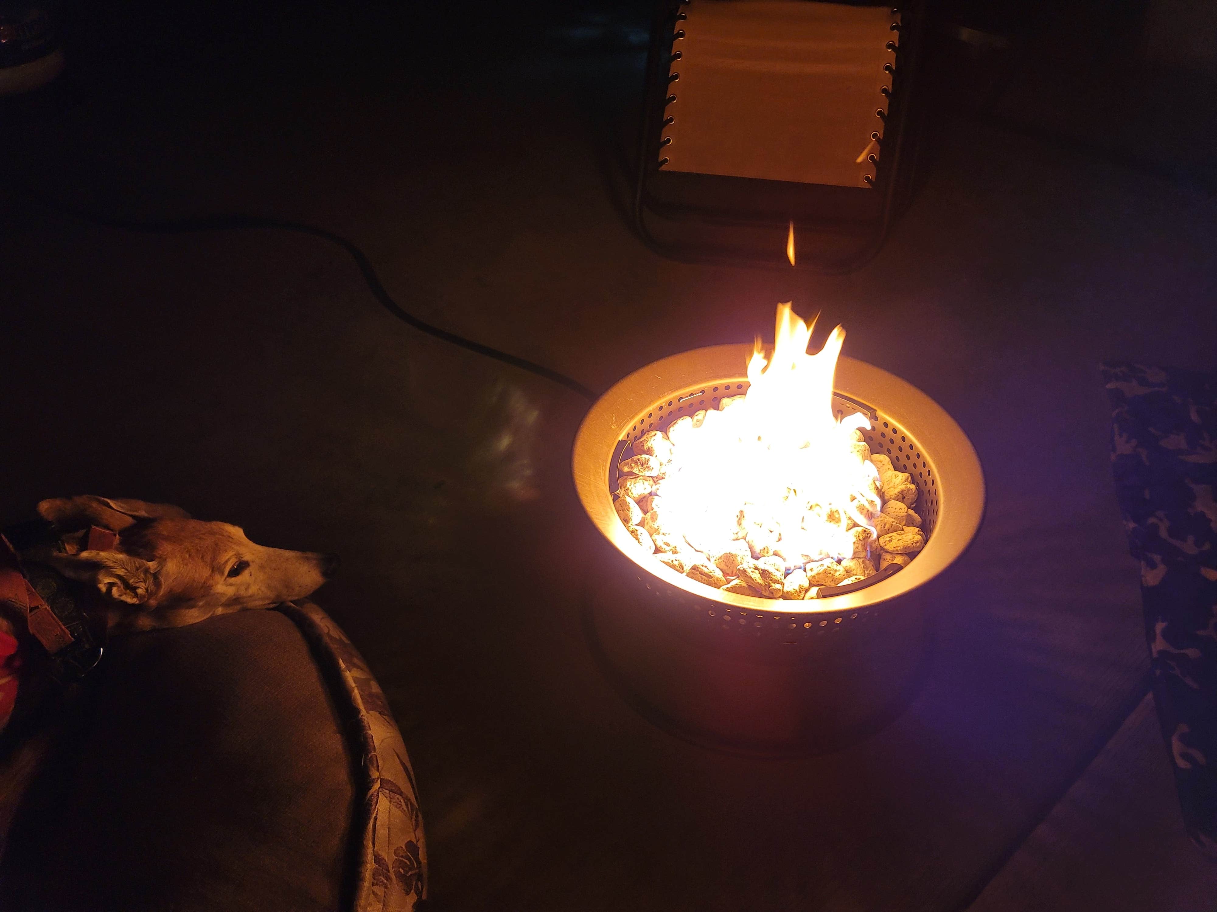 Camping near Yaqui Well Primitive Campground — Anza-Borrego Desert State Park: The Springs at Borrego RV Resort, Borrego Springs, California