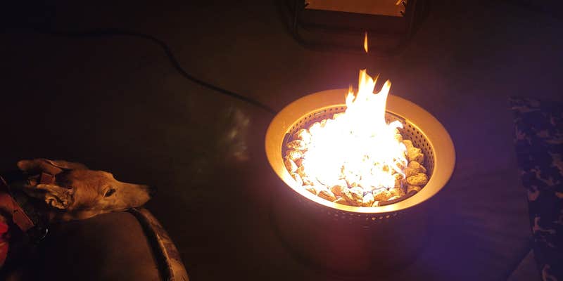 Camper submitted image from The Springs at Borrego RV Resort