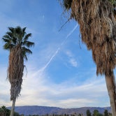 Review photo of The Springs at Borrego RV Resort by Sherrie R., January 10, 2021