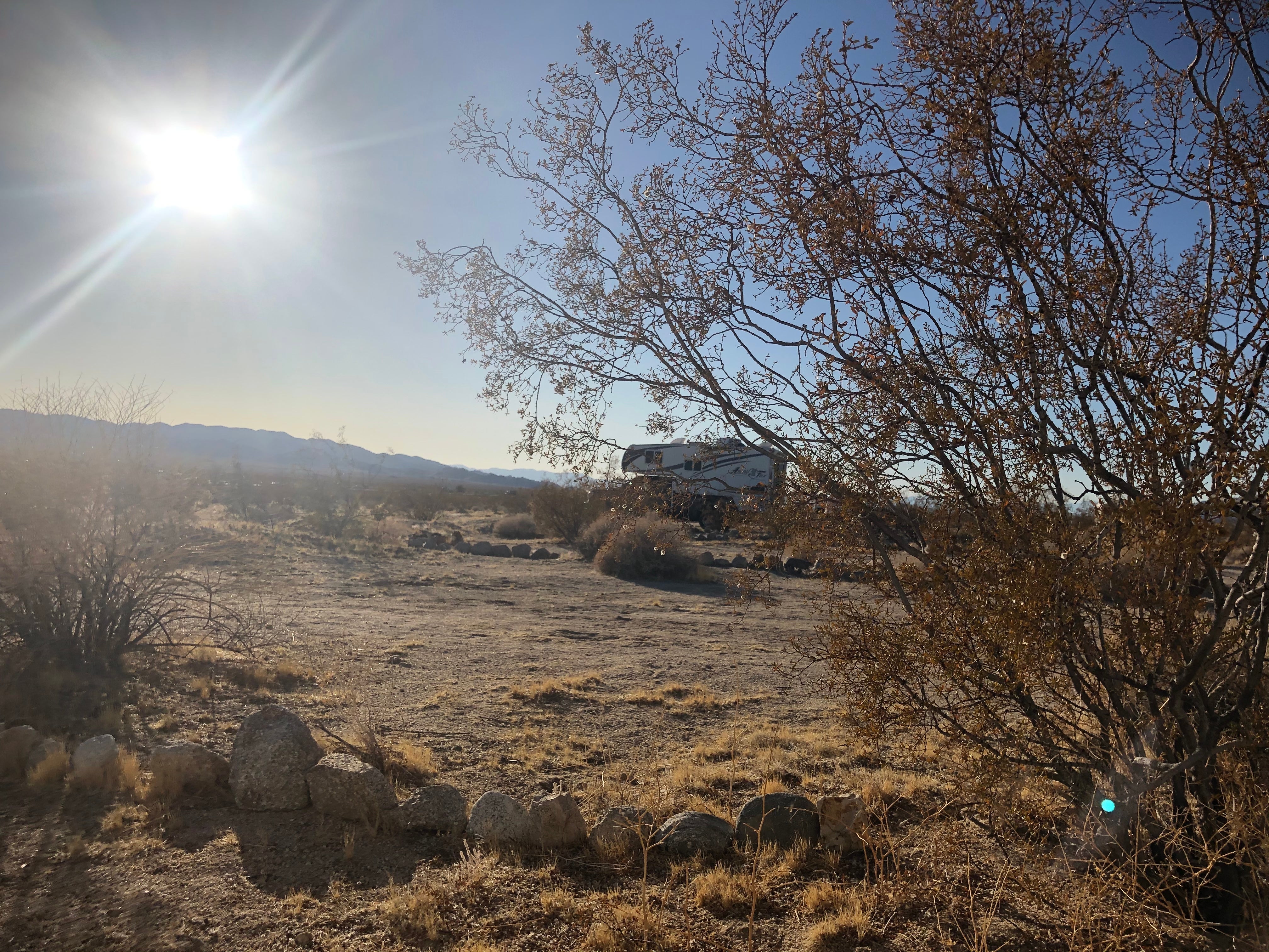 Camper submitted image from Chiriaco Summit Dry Camp Area - 1