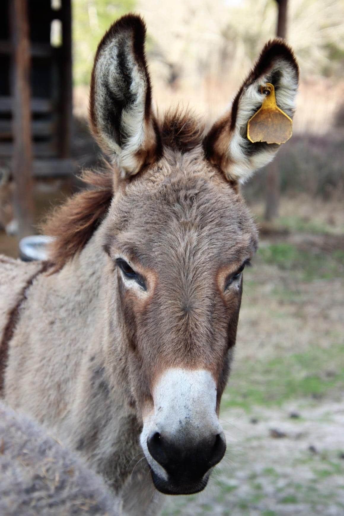 Camper-submitted photo at Sweetwater Lake Campground near Orangeburg, SC