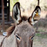 Review photo of Sweetwater Lake Campground by Darla , January 10, 2021