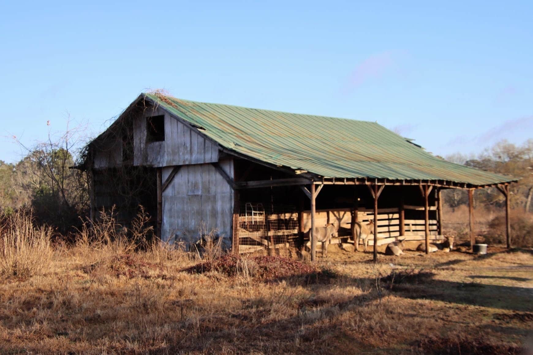 Camper-submitted photo at Sweetwater Lake Campground near Orangeburg, SC