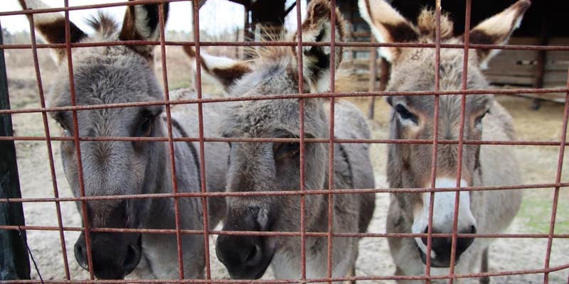 Camper submitted image from Sweetwater Lake Campground