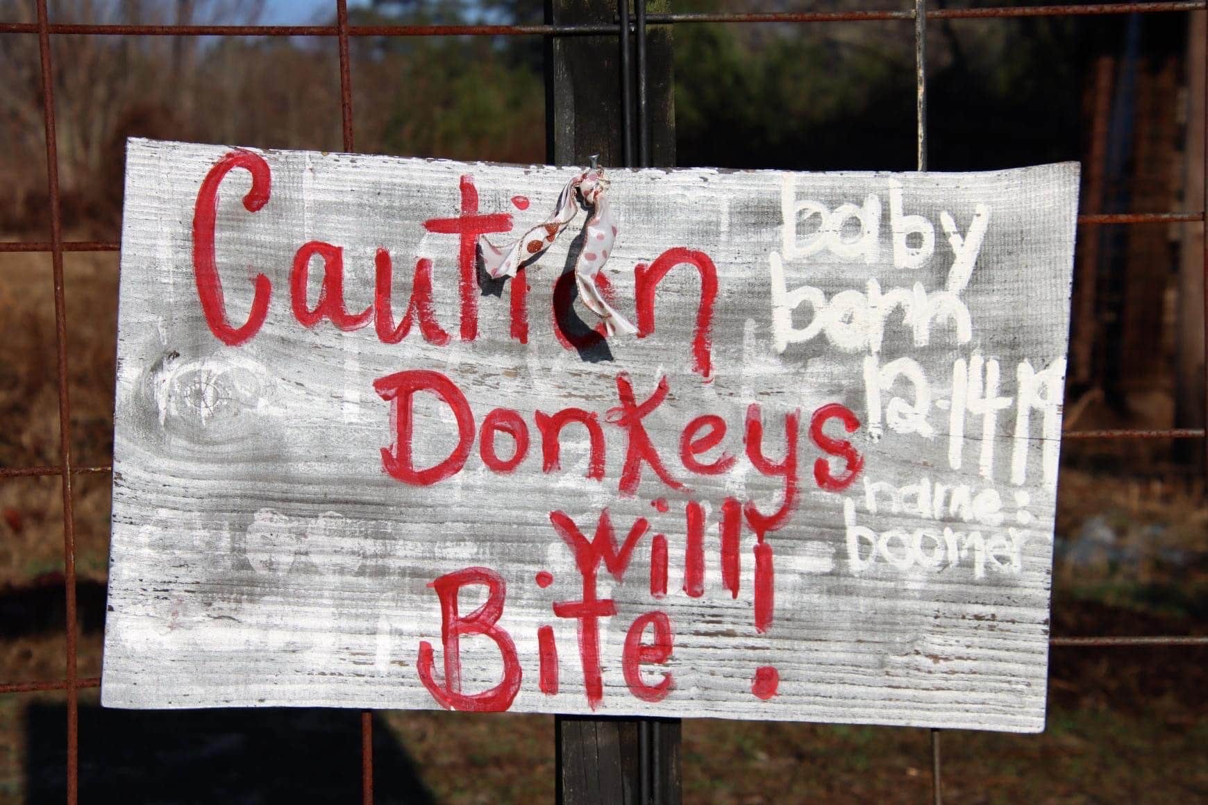 Camper-submitted photo at Sweetwater Lake Campground near Orangeburg, SC