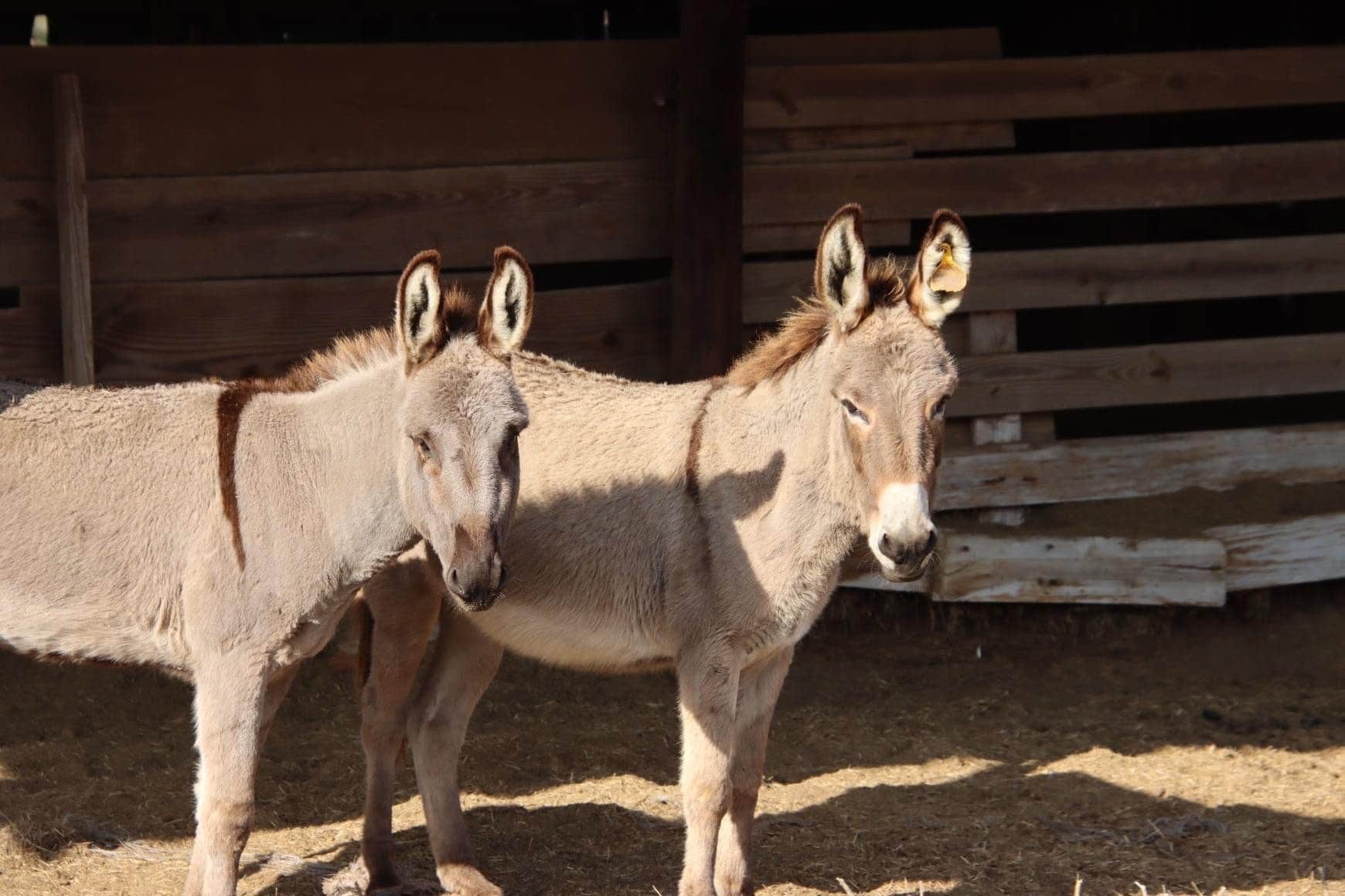 Camper-submitted photo at Sweetwater Lake Campground near Orangeburg, SC