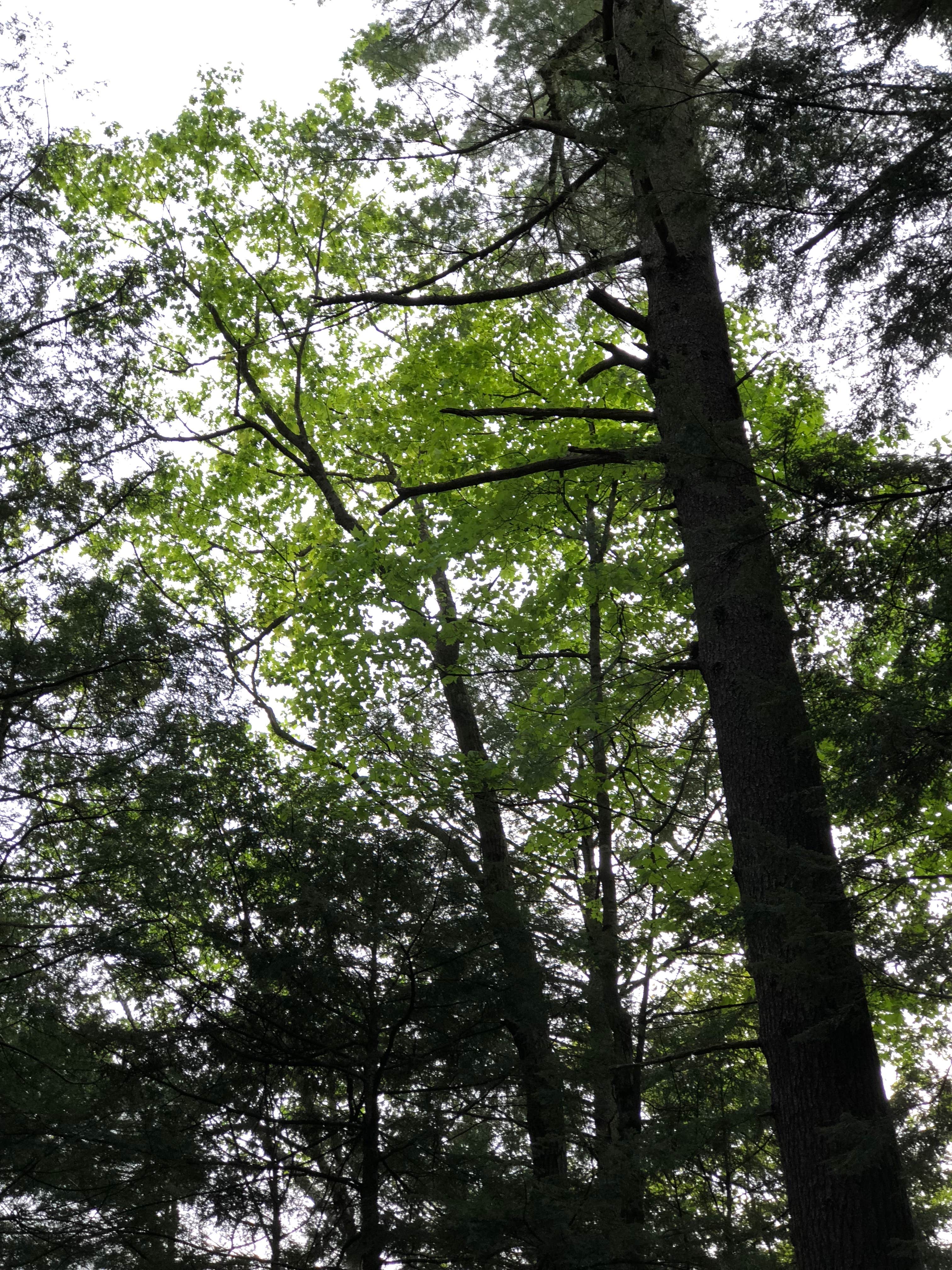 Camper-submitted photo at Quechee State Park Campground near Lyme, NH