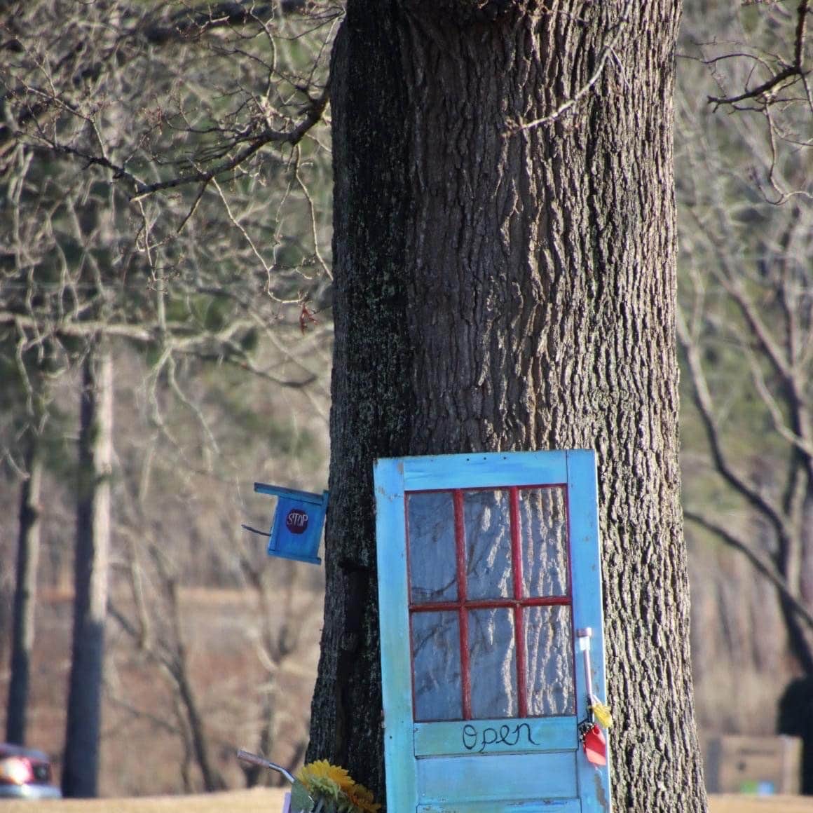Sweetwater Lake Campground Camping The Dyrt