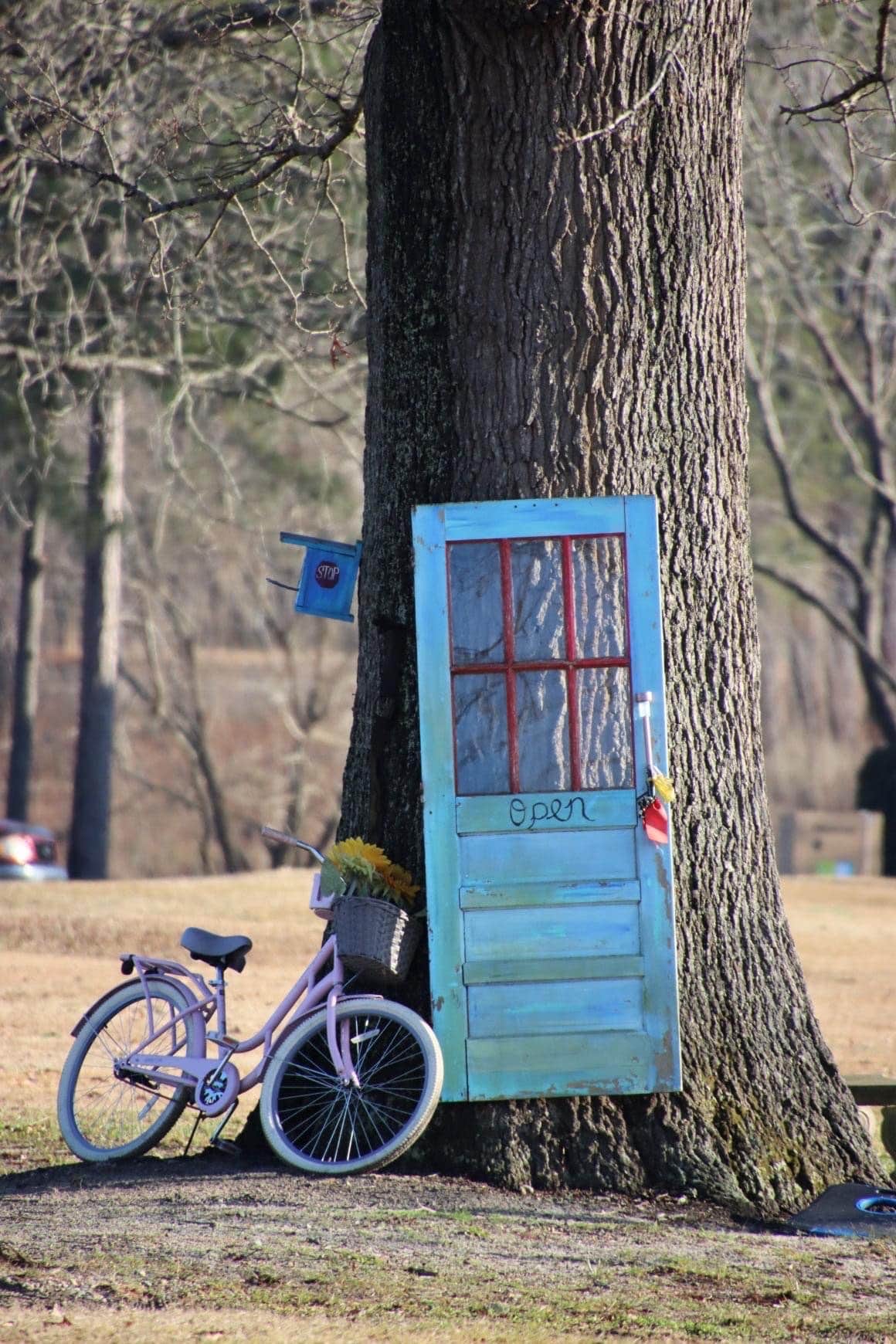 Camper submitted image from Sweetwater Lake Campground - 5